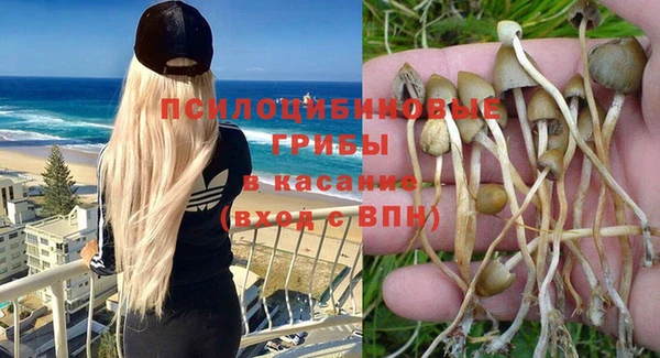 СК Бородино