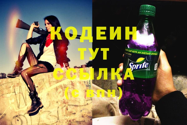 СК Бородино