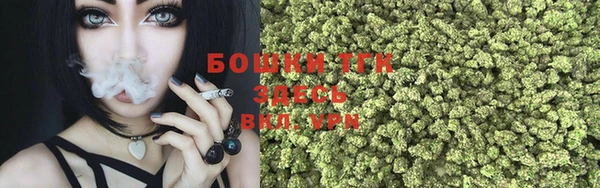 СК Бородино