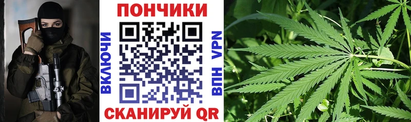 Канабис марихуана  где купить наркотик  Торжок 